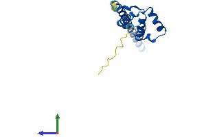 Protein Structure (PS) image for Leucine Zipper, Down-Regulated in Cancer 1 (LDOC1) (AA 1-146) protein (His tag) (ABIN7549055)