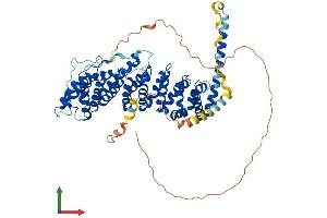 Protein Structure (PS) image for Protein Phosphatase 2, Regulatory Subunit B', delta (PPP2R5D) (AA 1-602) protein (His tag) (ABIN7551810)