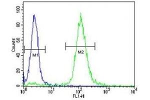 TrkA antibody flow cytometric analysis of WiDr cells (green) compared to a negative control (blue). (TRKA Antikörper)