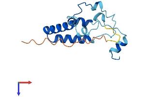 POMP Protein (AA 1-141) (His tag)