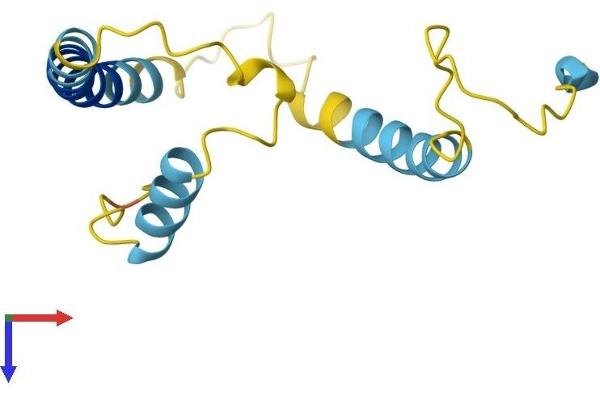 KCNE1 Protein (AA 1-129) (His tag)
