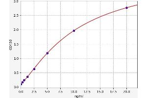 Adiponectin Receptor 1 ELISA Kit