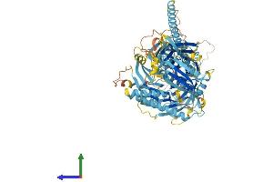 Protein Structure (PS) image for Chromosome 17 Open Reading Frame 70 (C17ORF70) (AA 1-879) protein (His tag) (ABIN7561891)