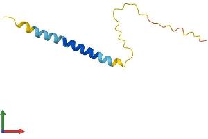 AlphaFold protein structure predicition of Human Recombinant ADIG Protein, UniprotID Q0VDE8