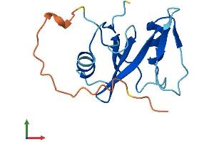 AlphaFold protein structure predicition of Mouse Recombinant Sh2d1b2 Protein, UniprotID Q45HK4