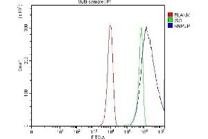 Flow Cytometry analysis of Hela cells using anti-AP-B/RNPEP antibody (ABIN7602252).