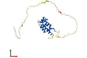 Protein Structure (PS) image for EDAR-Associated Death Domain (EDARADD) (AA 1-215) protein (His tag) (ABIN7547253)