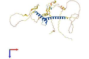 ATOH1 Protein (AA 1-351) (His tag)