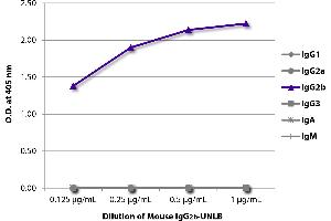 ELISA plate was coated with serially diluted Mouse IgG2b-UNLB and quantified.