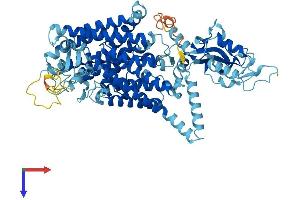 CLCN4 Protein (AA 1-747) (His tag)