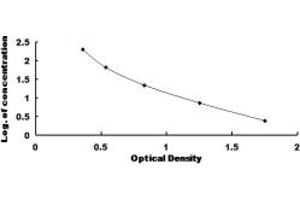 Typical standard curve (Cathepsin D ELISA Kit)