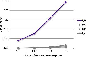 ELISA plate was coated with purified human IgD, IgG, IgM, and IgA. (Ziege anti-Human IgD (Heavy Chain) Antikörper (Alkaline Phosphatase (AP)))