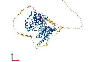 AlphaFold protein structure predicition of Mouse Recombinant Stk32c Protein, UniprotID Q8QZV4 (STK32C Protein (AA 1-488) (His tag))