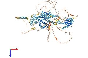 SNX19 Protein (AA 1-992) (His tag)