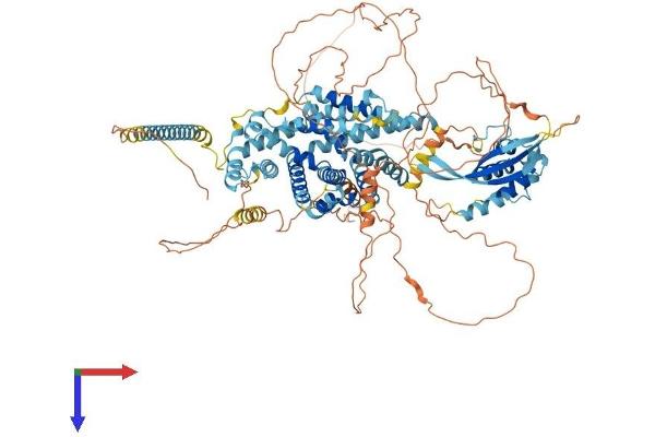 SNX19 Protein (AA 1-992) (His tag)