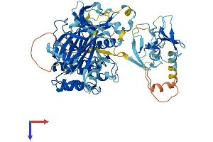 PKC delta Protein (AA 1-674) (His tag)