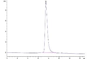 The purity of Cynomolgus DR6 is greater than 95 % as determined by SEC-HPLC.