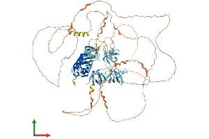 Protein Structure (PS) image for SH3 and PX Domains 2B (SH3PXD2B) (AA 1-911) protein (His tag) (ABIN7555624)