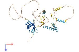HERPUD2 Protein (AA 1-404) (His tag)