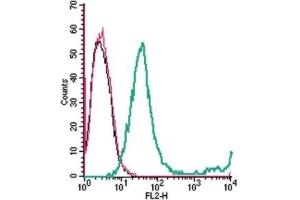 Cell surface detection of GPR65 in live intact mouse EL4 T-cell lymphoma cells: (black line) Cells. (GPR65 Antikörper  (1st Extracellular Loop) (PE))