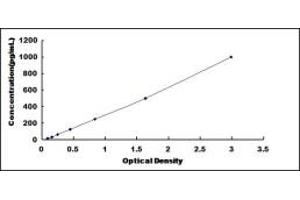 Typical standard curve (FGF11 ELISA Kit)