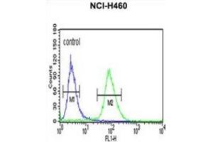 Flow Cytometry (FACS) image for anti-Isocitrate Dehydrogenase 3 (NAD+) gamma (IDH3G) antibody (ABIN3004326) (IDH3G Antikörper)