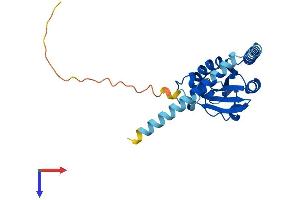 TXNDC9 Protein (AA 1-226) (His tag)