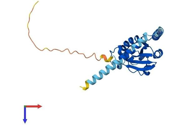 TXNDC9 Protein (AA 1-226) (His tag)