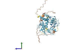 AlphaFold protein structure predicition of Human Recombinant ZNF140 Protein, UniprotID P52738