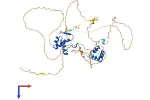 PAX8 Protein (AA 1-457) (His tag)