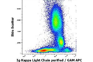 Flow cytometry surface staining pattern of human peripheral whole blood stained using anti-human Ig Kappa Light Chain (MEM-09) purified antibody (concentration in sample 3 μg/mL) GAM APC. (kappa Light Chain Antikörper)