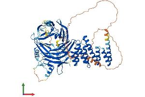 Protein Structure (PS) image for WD Repeat Containing Planar Cell Polarity Effector (WDPCP) (AA 1-722) protein (His tag) (ABIN7559130)