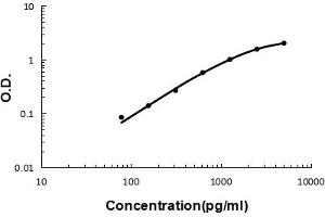 Sandwich ELISA - Recombinant mouse IL23 Receptor/Il23r protein standard curve. (IL23R Antikörper  (AA 25-233))
