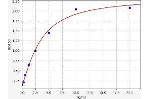 CDK2 ELISA Kit