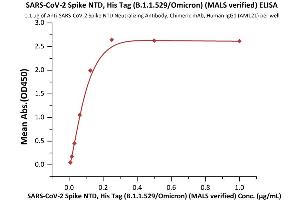 Immobilized Anti-SARS-CoV-2 Spike NTD Antibody, Chimeric mAb at 1 μg/mL (100 μL/well) can bind SARS-CoV-2 Spike NTD, His Tag (B.