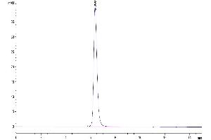 The purity of Human CD40 is greater than 95 % as determined by SEC-HPLC. (CD40 Protein (CD40) (AA 21-193) (Fc Tag))