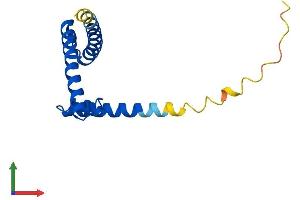 Protein Structure (PS) image for Apoptosis-Inducing, TAF9-Like Domain 1 (APITD1) (AA 1-142) protein (His tag) (ABIN7560820)