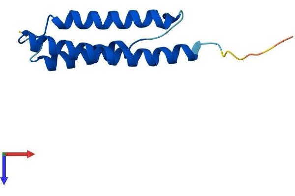 aHSP Protein (AA 1-102) (His tag)
