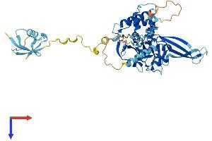 USP14 Protein (AA 1-494) (His tag)