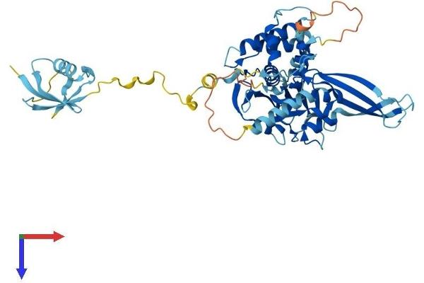 USP14 Protein (AA 1-494) (His tag)