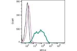 Cell surface detection of NMDAR1 by indirect flow cytometry in live intact human  megakaryoblastic leukemia cells: + goat-anti-rabbit-APC.