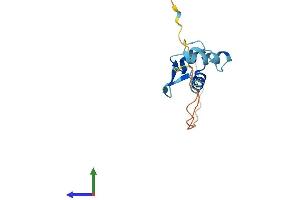 Protein Structure (PS) image for Ribosomal Protein S25 (RPS25) (AA 1-125) protein (His tag) (ABIN7551570)