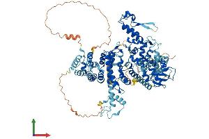 Protein Structure (PS) image for Ubiquitin Protein Ligase E3A (ube3a) (AA 1-875) protein (His tag) (ABIN7555936)