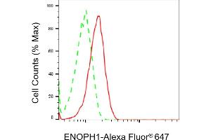 Flow cytometric analysis of ENOPH1 expression in HAP-1 cells using ENOPH1 antibody (ABIN7798452), 1:1,000). (MASA Antikörper)