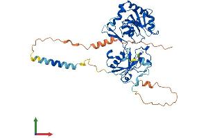 Protein Structure (PS) image for Fucosyltransferase 4 (Alpha (1,3) Fucosyltransferase, Myeloid-Specific) (FUT4) (AA 1-433) protein (His tag) (ABIN7556963)