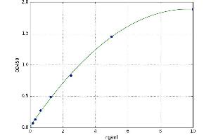 Mannosidase, Alpha, Class 1A, Member 1 (MAN1A1) ELISA Kit