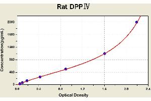 Diagramm of the ELISA kit to detect Rat DPP?