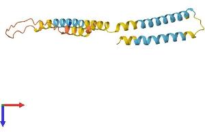 BIK Protein (AA 1-160) (His tag)