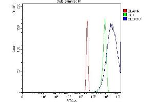 Flow Cytometry analysis of Hela cells using anti-Claudin18/CLDN18 antibody (ABIN7601257). (Claudin 18 Antikörper  (AA 31-261))