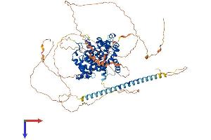 TBC1D10B Protein (AA 1-808) (His tag)